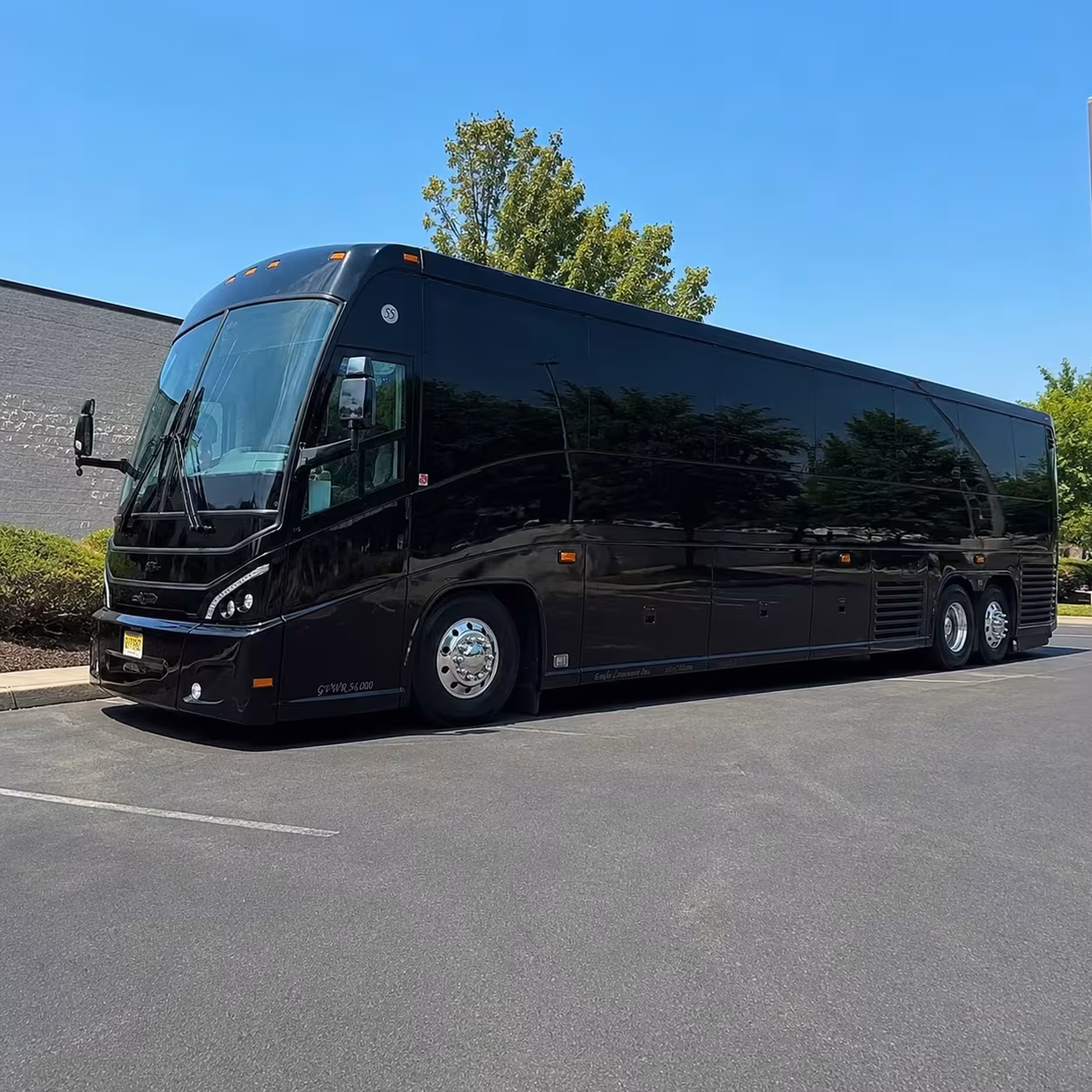 carson airport and cruise port shuttle buses for groups